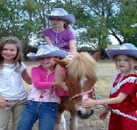 Amberainbow Pony Rides - Holiday Great Ocean Road