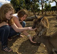 Kangaroo Island Wildlife Park - Holiday Great Ocean Road