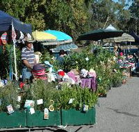 Meadows Monthly Market - Holiday Great Ocean Road