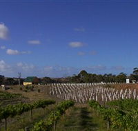 Deep Creek Wines and Alpacas - Holiday Great Ocean Road