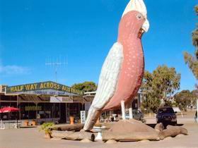 The Big Galah - Holiday Great Ocean Road 0