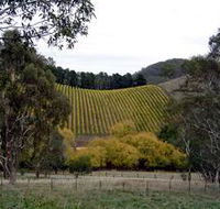 Mt Bera Vineyards - Holiday Great Ocean Road