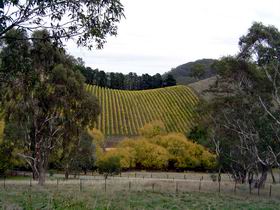 Mt Bera Vineyards - Holiday Great Ocean Road 0