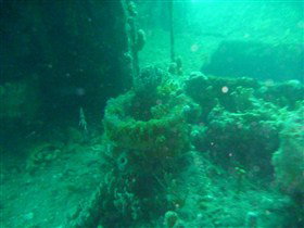 Wallaroo Scuba Club - Holiday Great Ocean Road 0