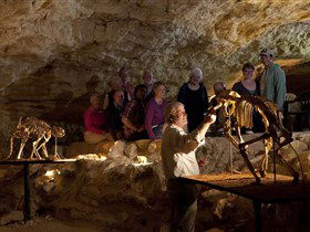 Naracoorte Caves National Park - Holiday Great Ocean Road 0