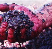 Rusden Wines - Holiday Great Ocean Road