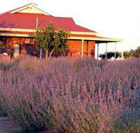 Bella Lavender Estate - Holiday Great Ocean Road