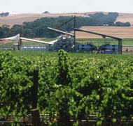 Kirrihill Wines - Holiday Great Ocean Road