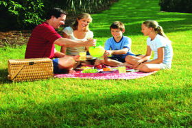 Bruny Island Berry Farm - Holiday Great Ocean Road 0