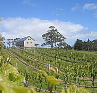 Bruny Island Premium Wines Bar and Grill - Holiday Great Ocean Road