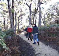 Bridport Walking Track - Holiday Great Ocean Road