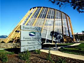 Forest EcoCentre - Holiday Great Ocean Road 0