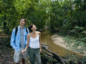 Mooloolah River National Park, Jowarra Section - Holiday Great Ocean Road 0