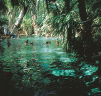 Mataranka Thermal Pool - Holiday Great Ocean Road