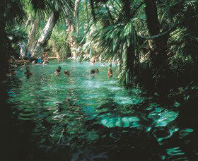 Mataranka Thermal Pool - Holiday Great Ocean Road 0