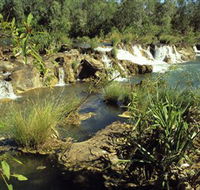 Flora River Nature Park - Holiday Great Ocean Road