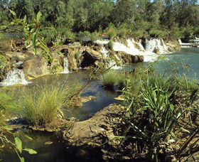 Flora River Nature Park - Holiday Great Ocean Road 0
