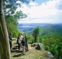 Gold Coast Hinterland Great Walk - Holiday Great Ocean Road