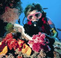 Cook Island Dive Site - Holiday Great Ocean Road
