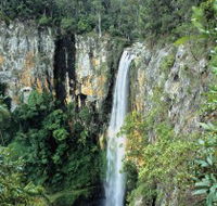 Gondwana Rainforests of Australia - Holiday Great Ocean Road