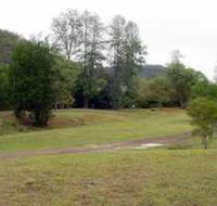 Brooyar State Forest - Holiday Great Ocean Road