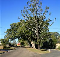 Anzac Avenue Memorial Trees Beerburrum - Holiday Great Ocean Road