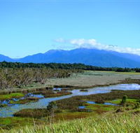 Eubenangee Swamp National Park - Holiday Great Ocean Road