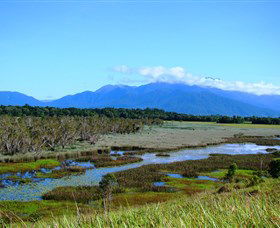 Eubenangee Swamp National Park - Holiday Great Ocean Road 0