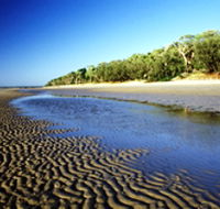 Burrum Coast National Park - Holiday Great Ocean Road