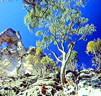 Mount Moffatt Section - Carnarvon National Park - Holiday Great Ocean Road
