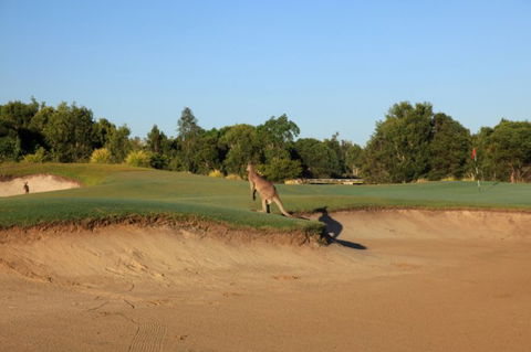 Pelican Waters Golf Club - Holiday Great Ocean Road 6