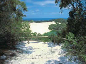 Lake Wabby Track - Holiday Great Ocean Road 0