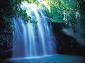 Zillie Falls - Holiday Great Ocean Road 0