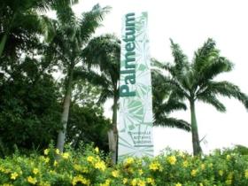 Townsville Palmetum - Holiday Great Ocean Road 0