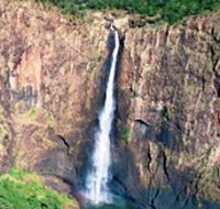Buujan Quiinbiira Walk Wet Tropics Great Walk - Holiday Great Ocean Road