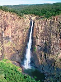 Buujan Quiinbiira Walk (Wet Tropics Great Walk) - Holiday Great Ocean Road 0
