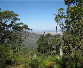 Zamia Walk - Holiday Great Ocean Road 0