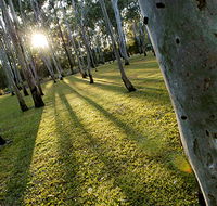 Tondoon Botanic Gardens - Holiday Great Ocean Road