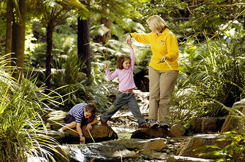 Tondoon Botanic Gardens - Holiday Great Ocean Road 2