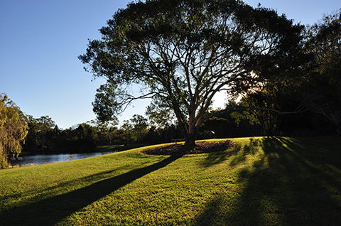 Tondoon Botanic Gardens - Holiday Great Ocean Road 4