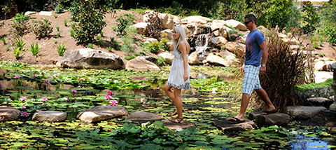 Tondoon Botanic Gardens - Holiday Great Ocean Road 7
