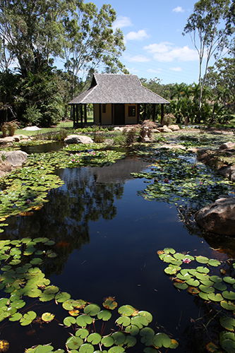 Tondoon Botanic Gardens - Holiday Great Ocean Road 8