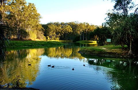 Tondoon Botanic Gardens - Holiday Great Ocean Road 9