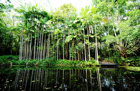 Tondoon Botanic Gardens - Holiday Great Ocean Road 11