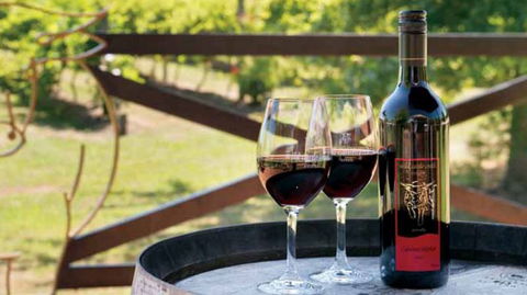 Wild Cattle Creek Estate Winery Restaurant - Holiday Great Ocean Road 4