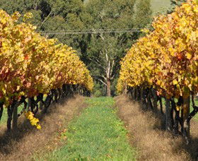 Wild Dog Winery & Restaurant - Holiday Great Ocean Road 0