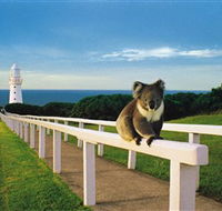 Cape Otway Lightstation - Holiday Great Ocean Road