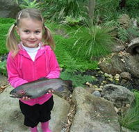 Wild Food Farm  Cafe - Holiday Great Ocean Road