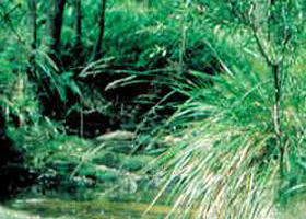 Lerderderg State Park - Holiday Great Ocean Road 0