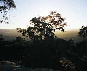 Yarra Flats - Holiday Great Ocean Road 0